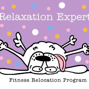 dog relaxation expert fitness protection program