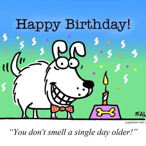 happy birthday dog you dont smell a single day older