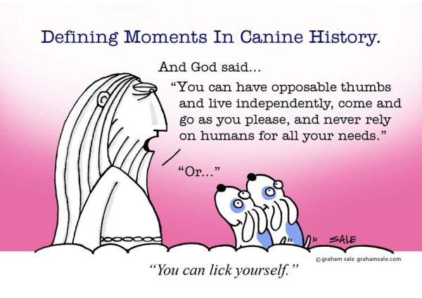 defining moments in canine history licking yourself dogs