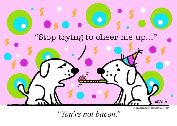 youre not bacon dogs