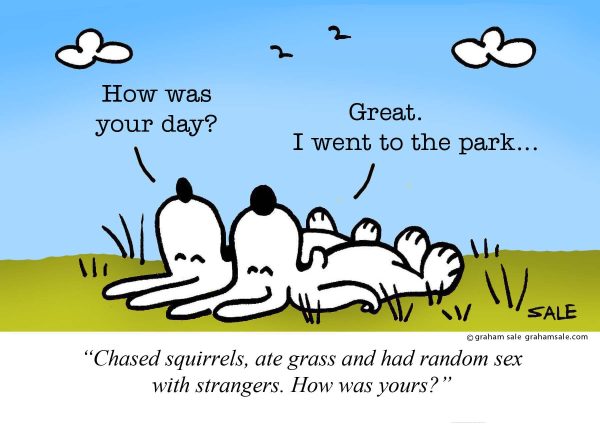 i went to the park ate grass chased squirrels and had random sex with strangers dogs