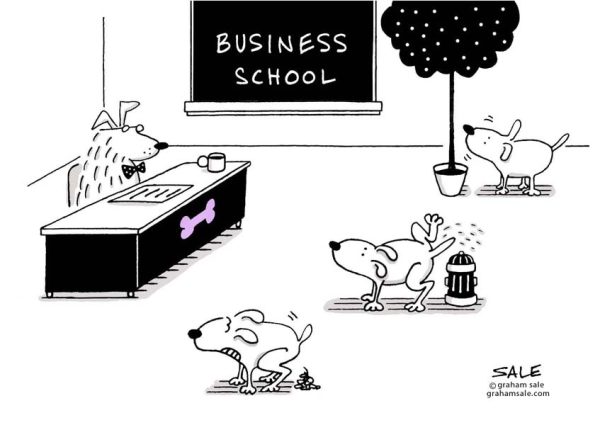 business school dogs