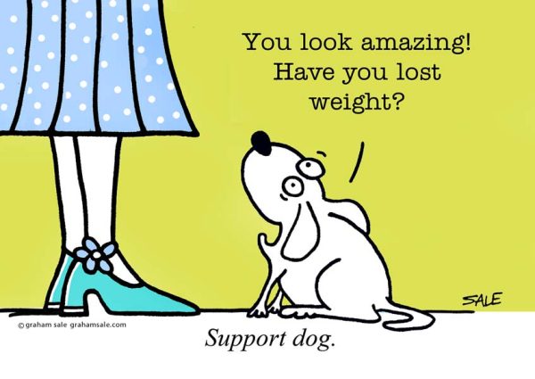 you look amazing have you lost weight support dog