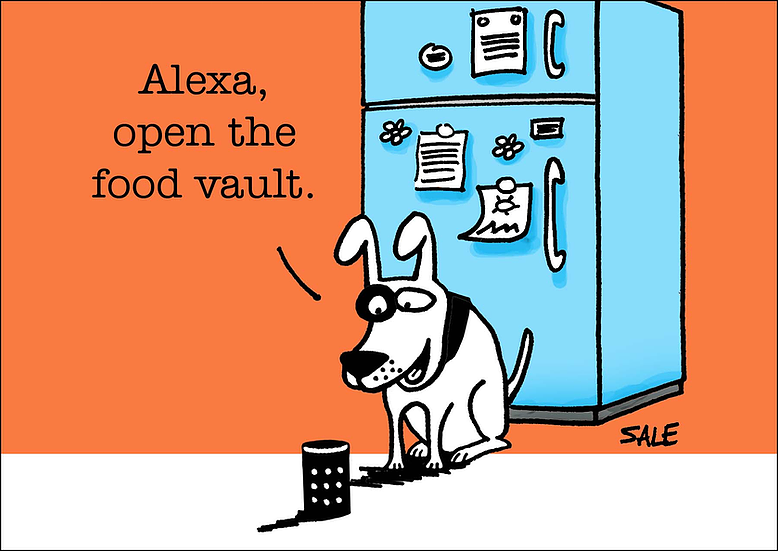 Alexa Food Vault