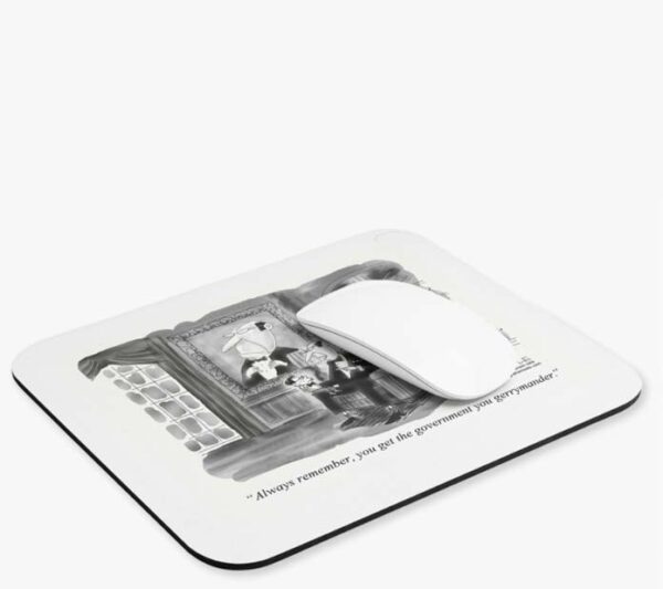 always remember you get the government you gerrymander mousepad