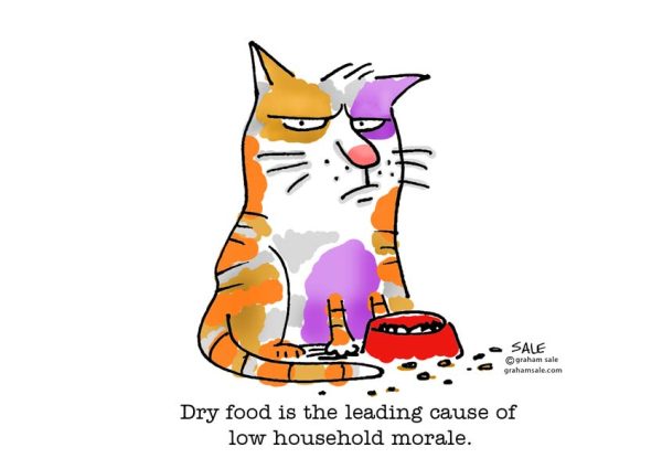 cat dry food is the leading cause of low household morale