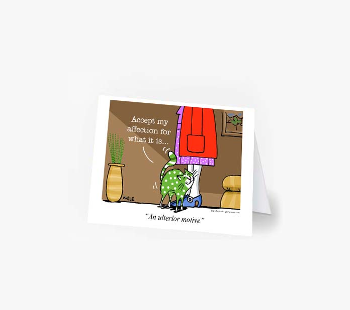 accept my affection for what it is and ulterior motive greeting cards