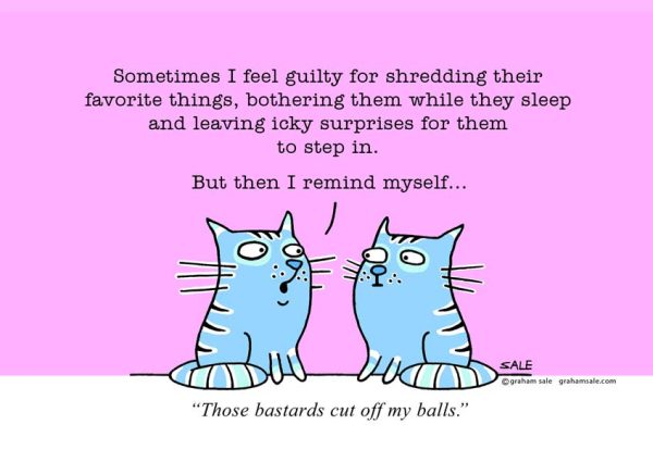 cats those bastards cut off my balls