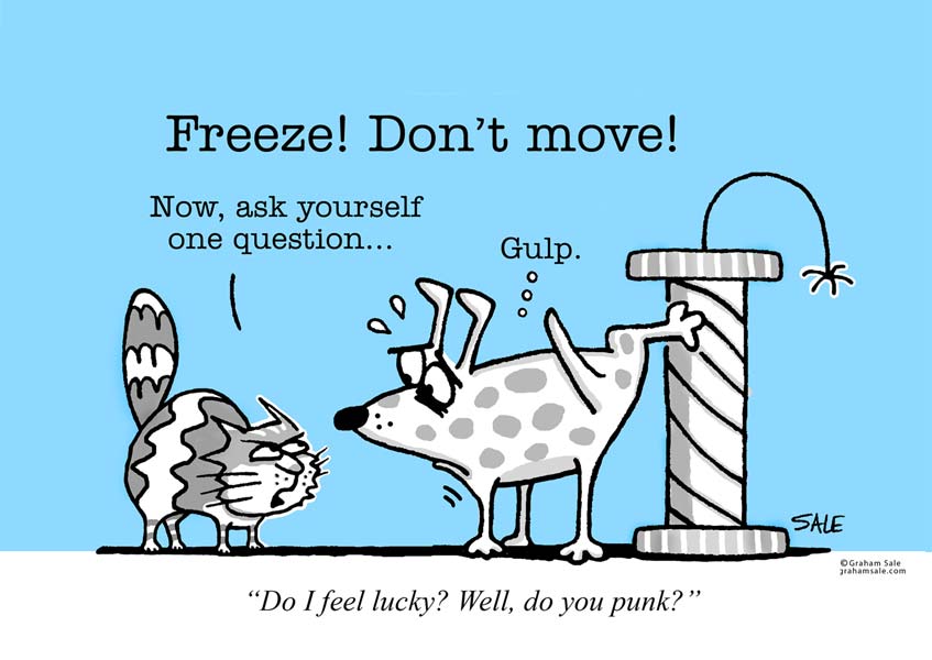 do you feel lucky punk dog and cat