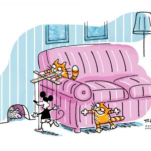 tricky kitties cats tricking a mouse