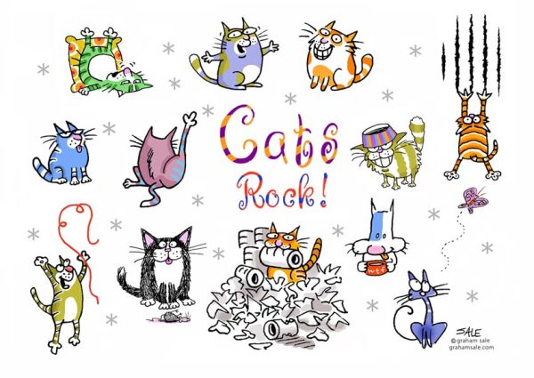 cats rock