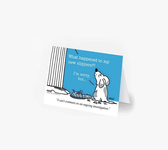 i cant comment on an ongoing investigation greeting cards