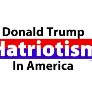 donald trump hatriotism in america