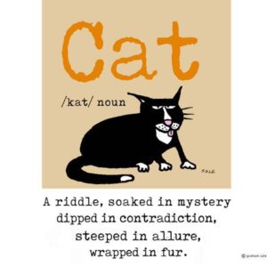 cats are riddles soaked in mystery dipped in contradiction steeped in allure wrapped in fur