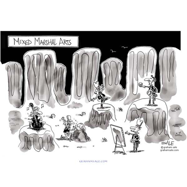 mixed marshal arts puzzle