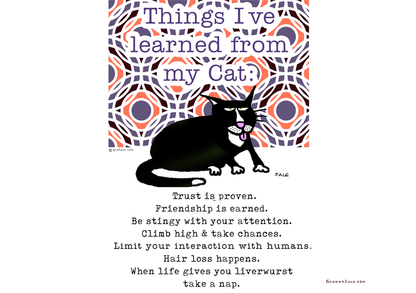 things i learned from my cat
