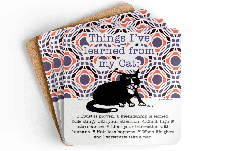 things i learned from my cat
