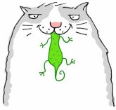 CAT-GEICO-WEB.jpg