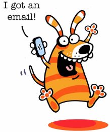 DOG-ORANGE-EMAIL-WEB-2.jpg